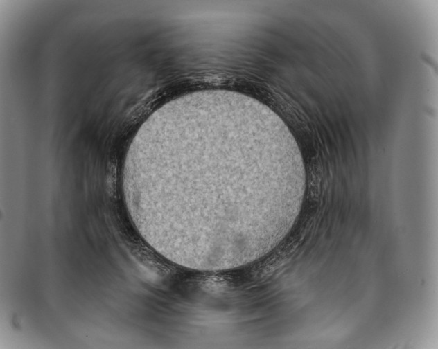 X0000096690656200803041301