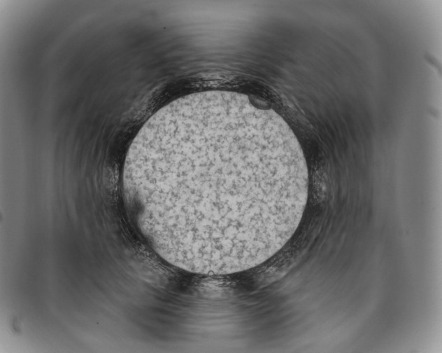 X0000096690657200803041301