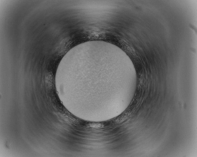 X0000096690659200803041301