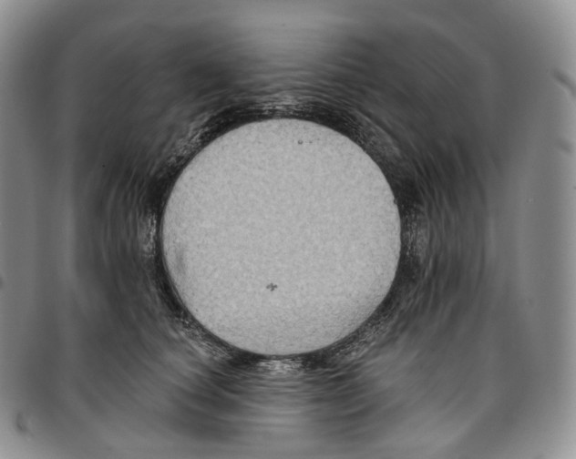 X0000096690660200803041301