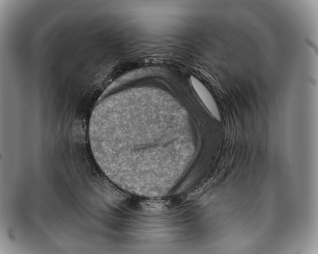 X0000096690661200803041301