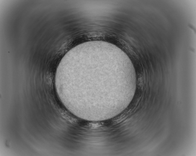 X0000096690662200803041301