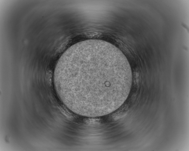 X0000096690664200803041301