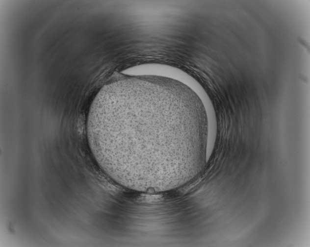 X0000096690665200803041301