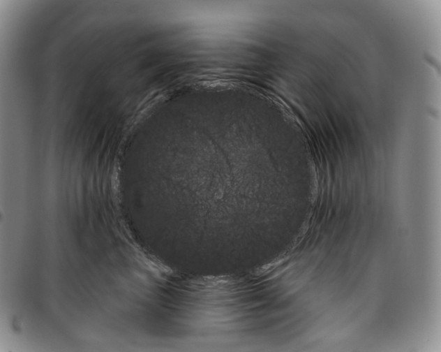 X0000096690667200803041301