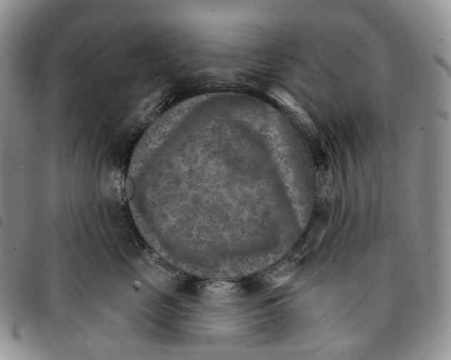 X0000096690669200803041302