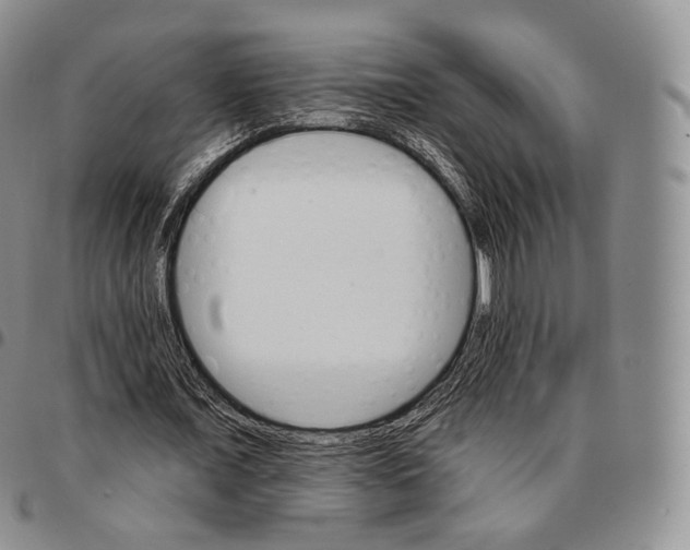 X0000096690675200803041301