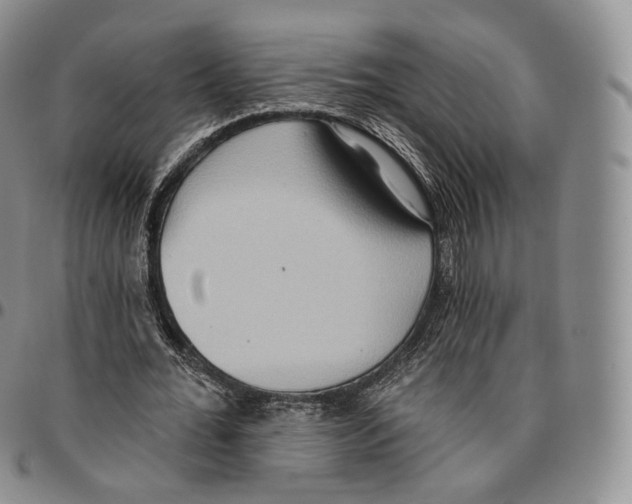 X0000096690676200803041301