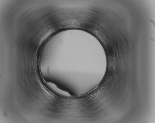 X0000096690677200803041301