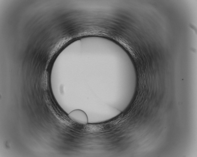 X0000096690678200803041301