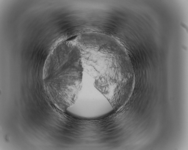 X0000096690679200803041301