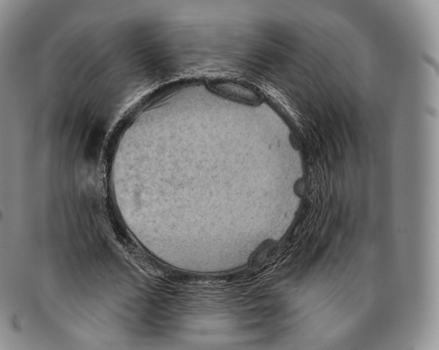 X0000096690680200803041301