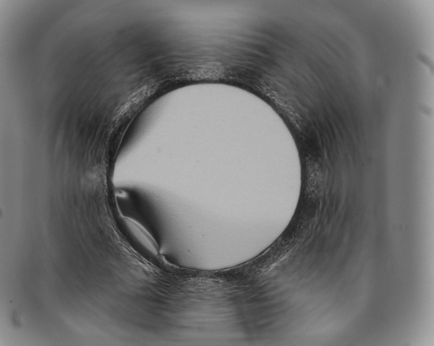 X0000096690681200803041301