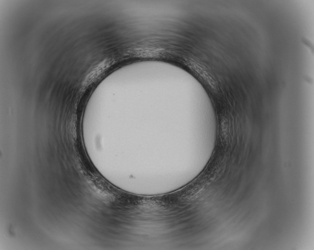 X0000096690682200803041301