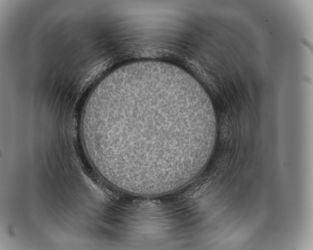 X0000096690683200803041301