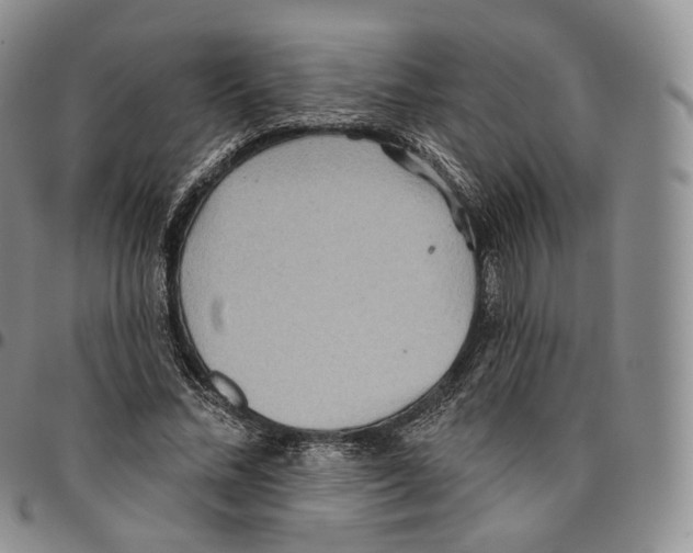 X0000096690684200803041301