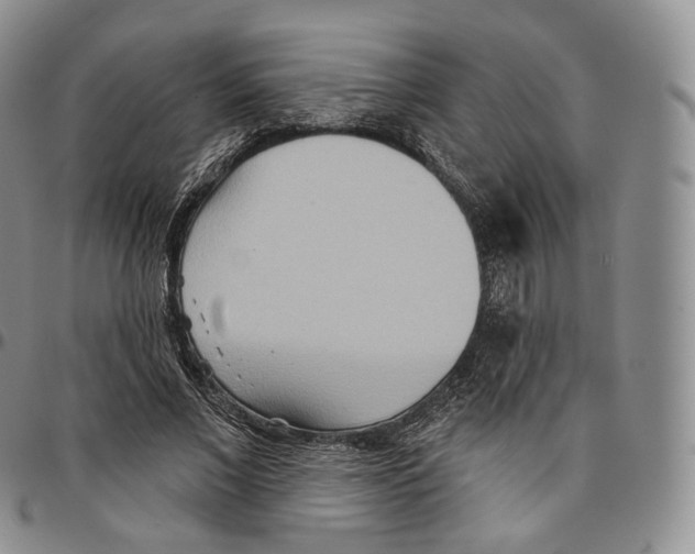 X0000096690685200803041301