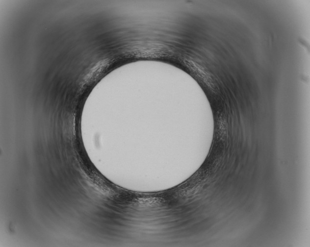 X0000096690686200803041301