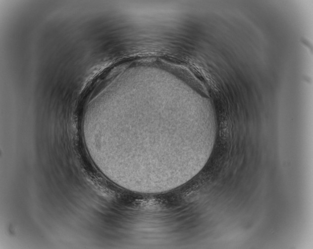 X0000096690688200803041301