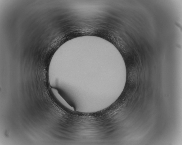 X0000096690689200803041301