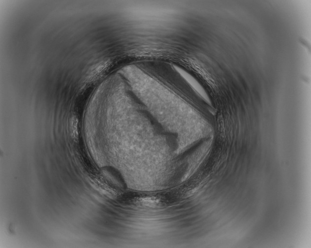 X0000096690692200803041301