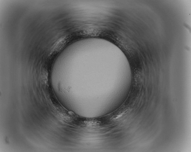 X0000096690693200803041301