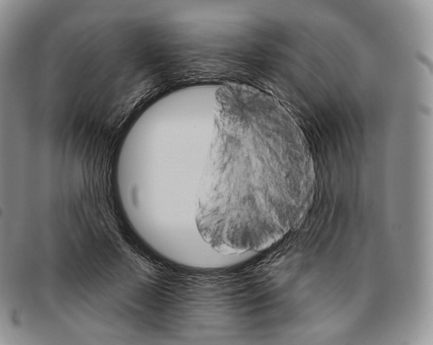 X0000096690695200803041301