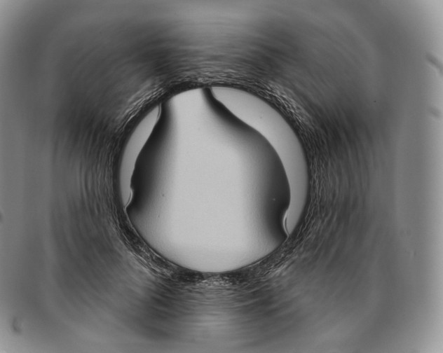 X0000096690696200803041301