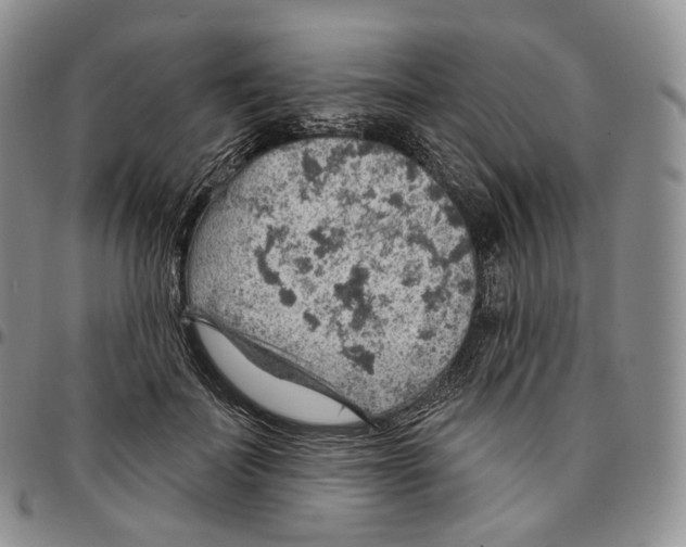 X0000096690699200803041301