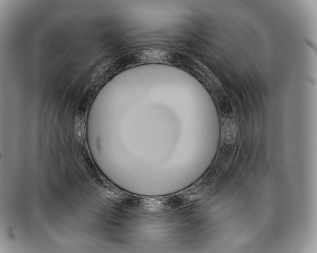 X0000096690701200803041301