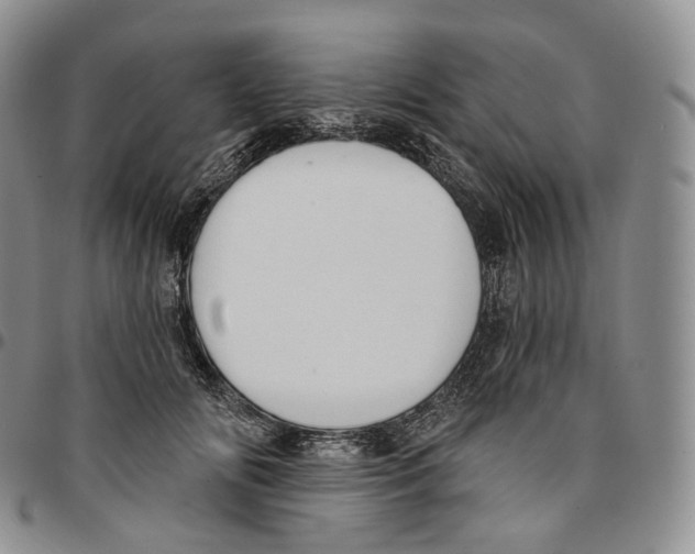 X0000096690702200803041301