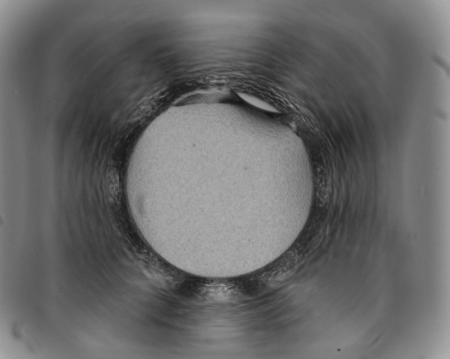 X0000096690704200803041301