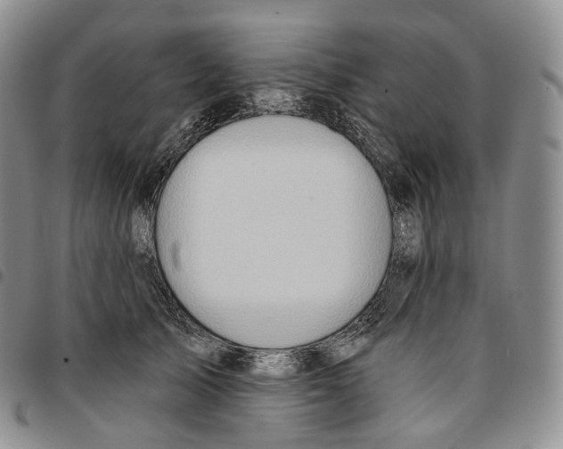 X0000096690705200803041301