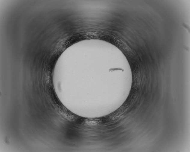 X0000096690706200803041301