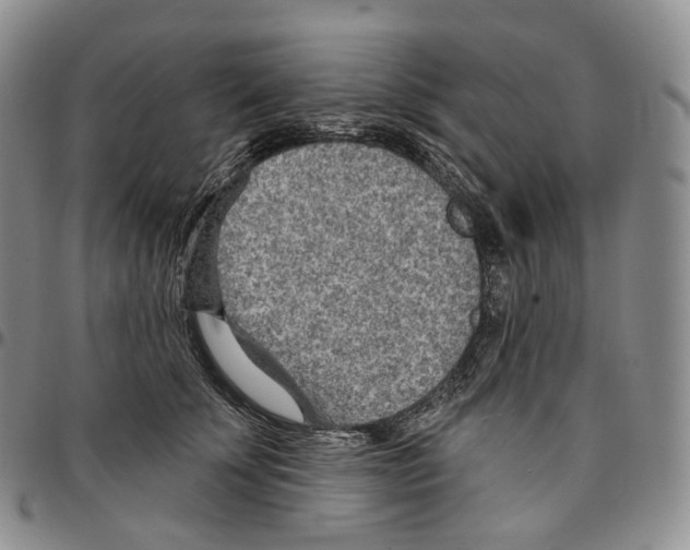 X0000096690707200803041301