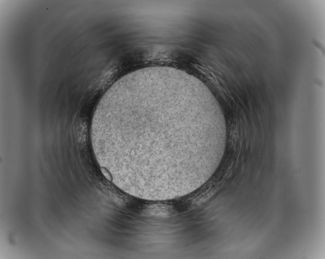 X0000096690708200803041301