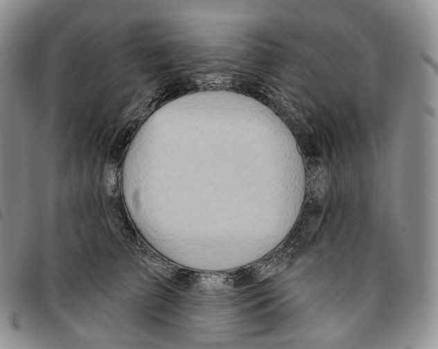 X0000096690709200803041301