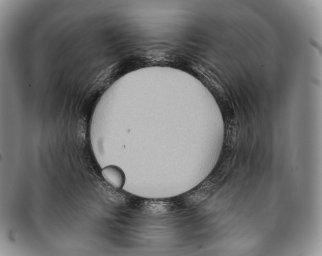 X0000096690710200803041301