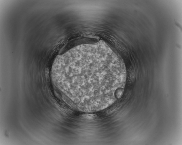 X0000096690711200803041301