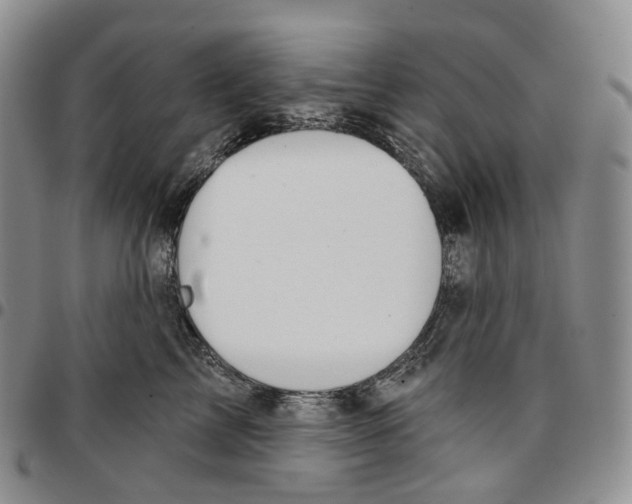 X0000096690713200803041300