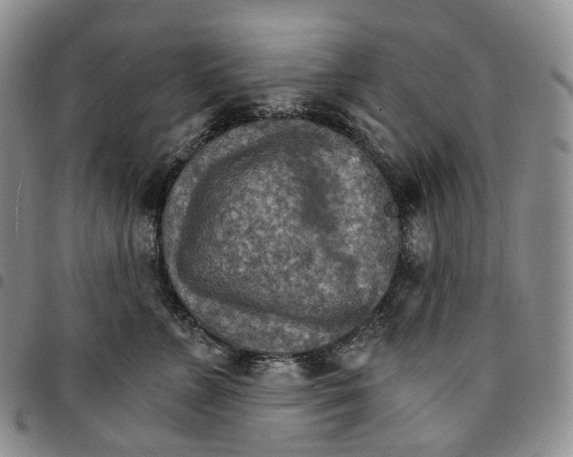 X0000096690715200803041300