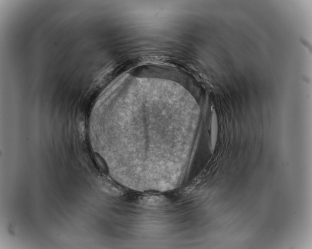 X0000096690716200803041300