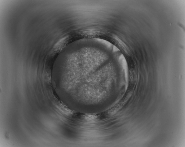 X0000096690718200803041300