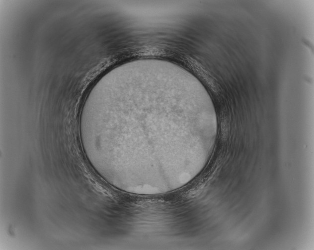 X0000096690721200803041300