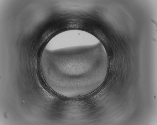 X0000096690722200803041300