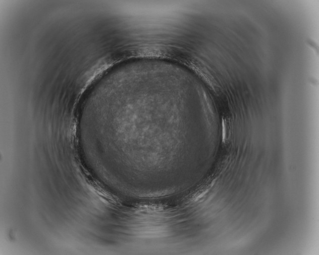 X0000096690723200803041300