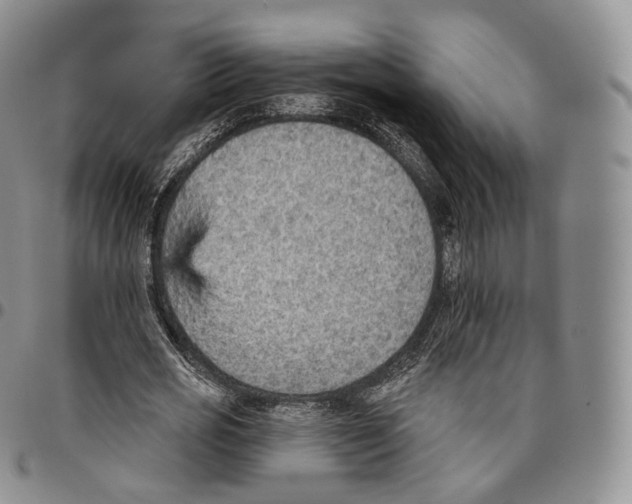 X0000096690725200803041300