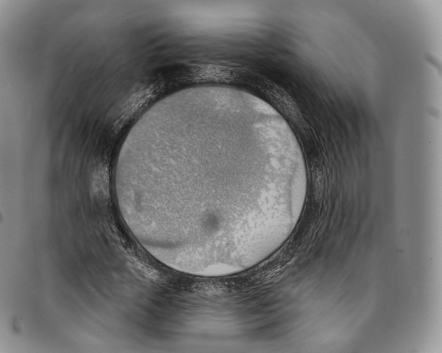 X0000096690729200803041300