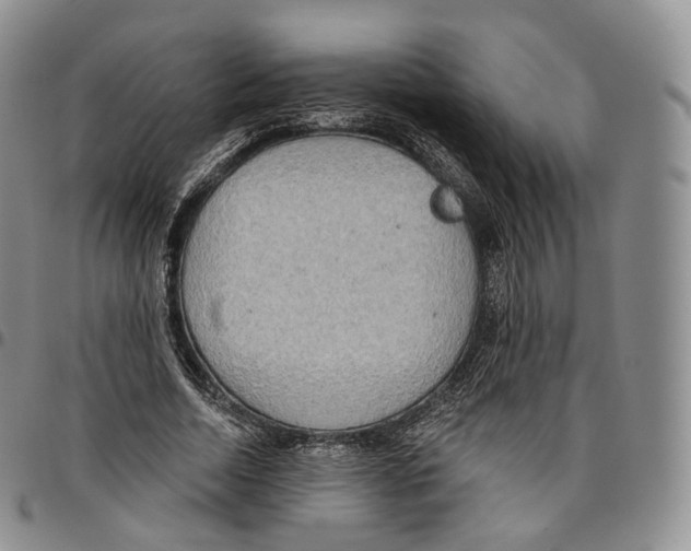 X0000096690730200803041300