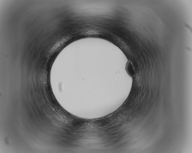 X0000096690732200803041300